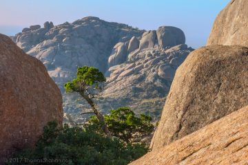 Wichita Mountains Oklahoma