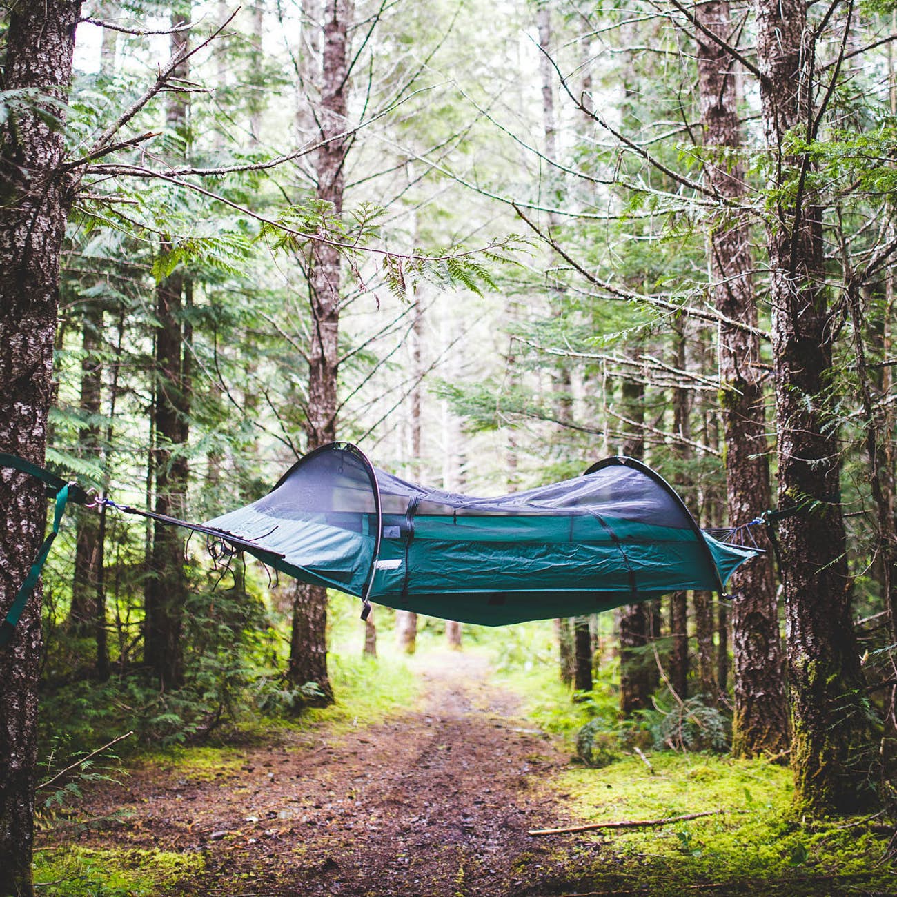 Blue Ridge Camping Hammock Hanging View