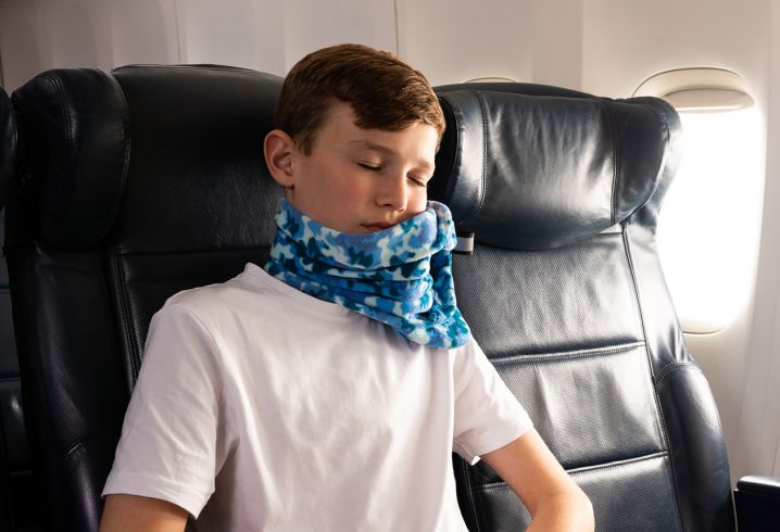 Trtl Travel Pillow