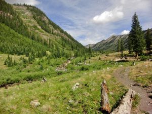 Crested Butte Bike